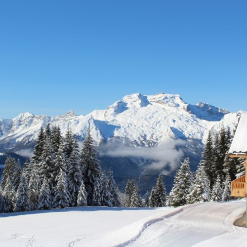 La Perle des Cimes - Landschaftsintegration